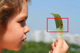 Enlarge extracts from your photos with no loss of quality!