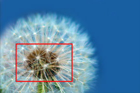 Enlarge extracts from your photos with no loss of quality!