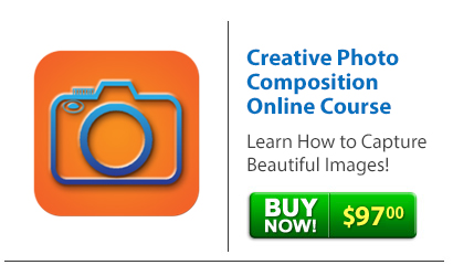 Creative Photo Composition Online Course | Learn How to Capture Beautiful Images! 