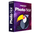 Movavi Photo Noir